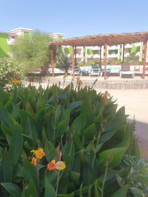 Holiday Properties Moradias Green Santa Maria Exterior photo