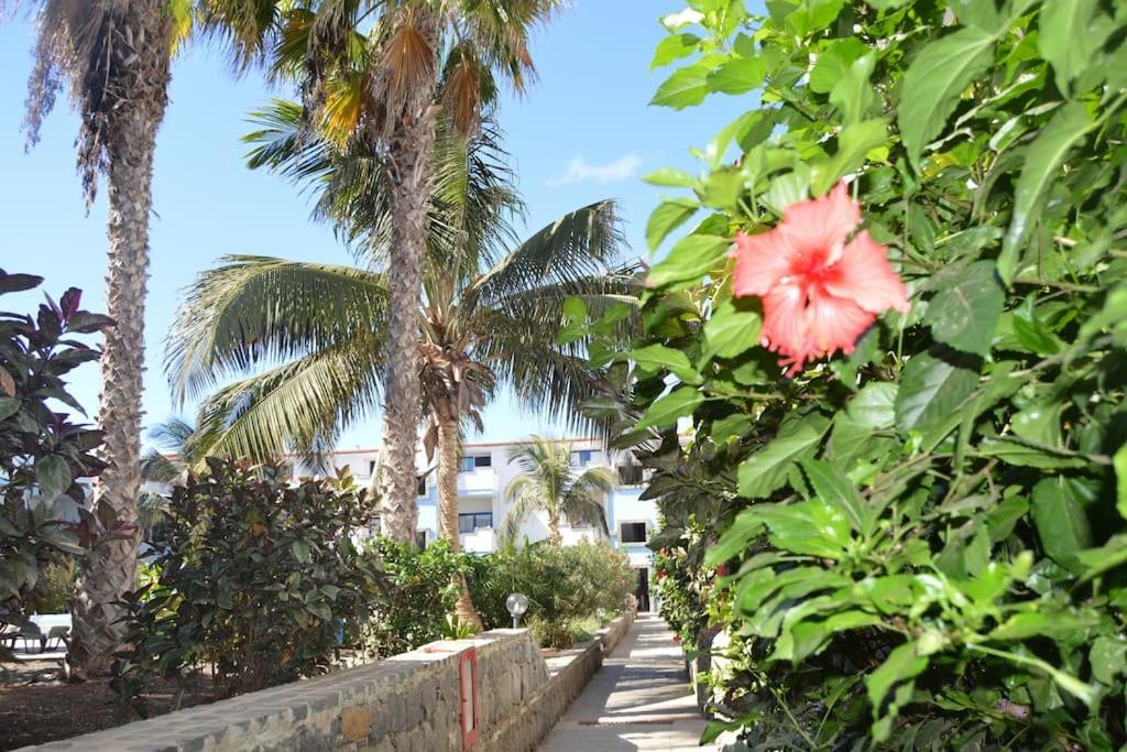 Holiday Properties Moradias Green Santa Maria Exterior photo